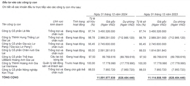 Hoàng Anh Gia Lai đã phải trích lập toàn bộ giá trị đầu tư vào Công ty cổ phần Nông nghiệp Kon Thụp