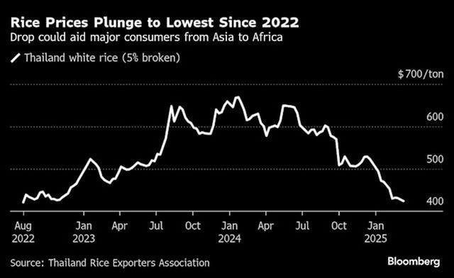 Diễn biến giá gạo trắng của Thái Lan Diễn biến giá gạo trắng của Thái Lan