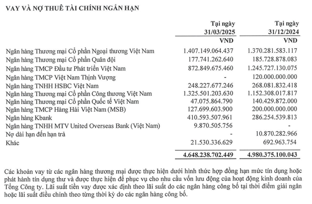 Cơ cấu nợ vay của Petrosetco tại thời điểm 31/3/2025