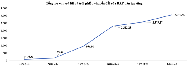 Tổng nợ vay trả lãi và trái phiếu chuyển đổi của BAF liên tục tăng (đơn vị: Tỷ VNĐ).