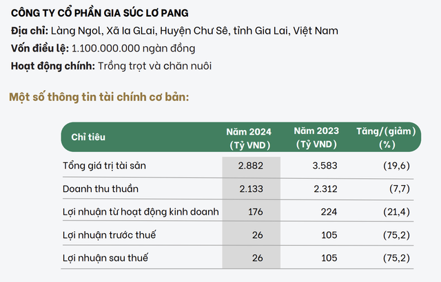 Tình hình kinh doanh của Gia Súc Lơ Pang năm 2024.
