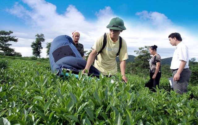 Agribank thể hiện quyết tâm trong điều kiện khó khăn vẫn luôn hỗ trợ và đồng hành cùng doanh nghiệp, người dân góp phần phục hồi sản xuất kinh doanh Agribank thể hiện quyết tâm trong điều kiện khó khăn vẫn luôn hỗ trợ và đồng hành cùng doanh nghiệp, người dân góp phần phục hồi sản xuất kinh doanh
