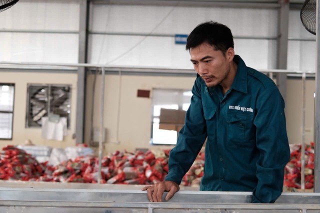 Anh Nguyễn Văn Ba, Giám đốc Hợp tác xã Việt Cường vẫn còn bần thần về những gì đang xảy ra Anh Nguyễn Văn Ba, Giám đốc Hợp tác xã Việt Cường vẫn còn bần thần về những gì đang xảy ra