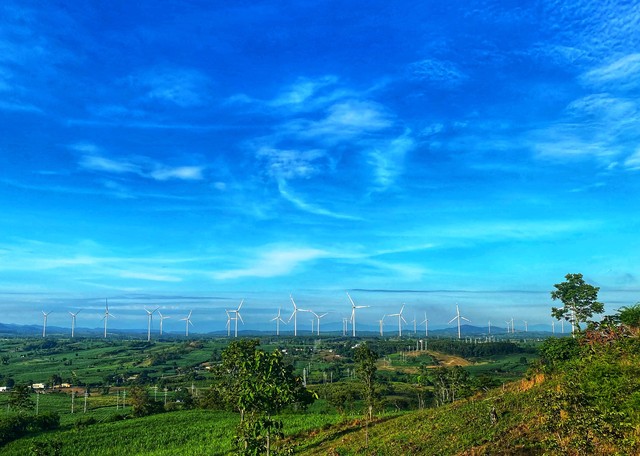 Dự án nhà máy điện gió Yang Trung – Gia Lai (Ảnh: Sưu tầm)