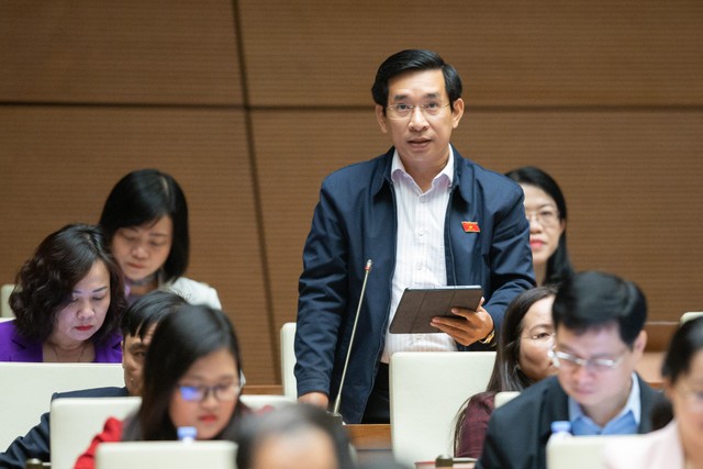 Đại biểu Nguyễn Văn Cảnh (đoàn Bình Định)