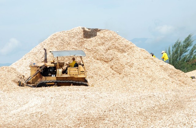 Một số doanh nghiệp ngành dăm gỗ phàn nàn vì bị chậm hoàn thuế VAT trong khi ngành thuế nói rằng cần phải tiền kiểm để kiểm soát rủi ro (Ảnh minh hoạ) Một số doanh nghiệp ngành dăm gỗ phàn nàn vì bị chậm hoàn thuế VAT trong khi ngành thuế nói rằng cần phải tiền kiểm để kiểm soát rủi ro (Ảnh minh hoạ)