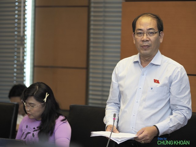 Đại biểu Nguyễn Việt Thắng (đoàn Kiên Giang) Đại biểu Nguyễn Việt Thắng (đoàn Kiên Giang)