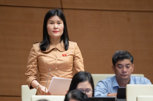 Đại biểu Bùi Thị Quỳnh Thơ (đoàn Hà Tĩnh)