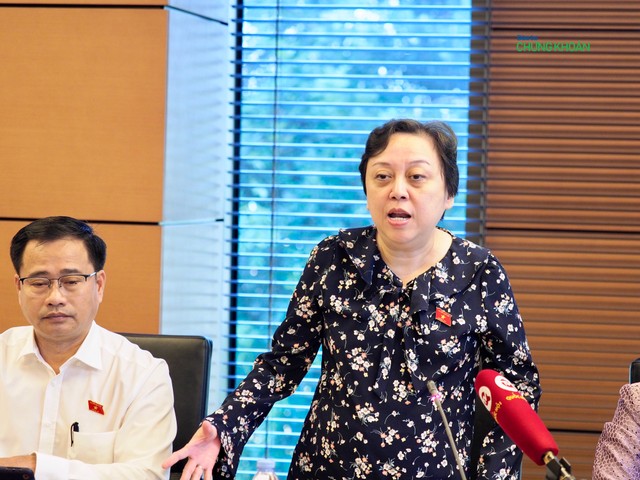 Đại biểu Phạm Khánh Phong Lan phát biểu tại họp tổ sáng 24/10 - Ảnh: M.Minh