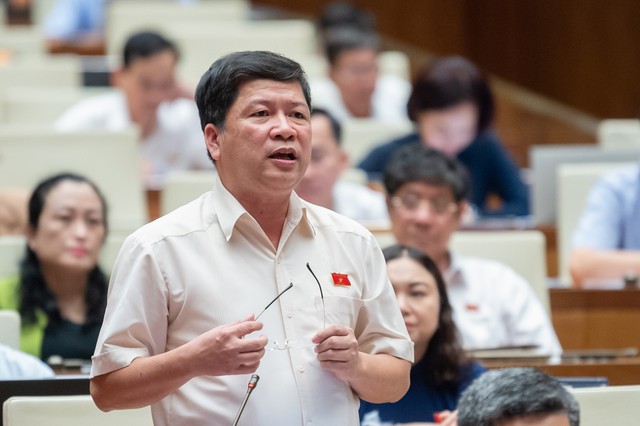 Đại biểu Tạ Văn Hạ (đoàn Quảng Nam) Đại biểu Tạ Văn Hạ (đoàn Quảng Nam)