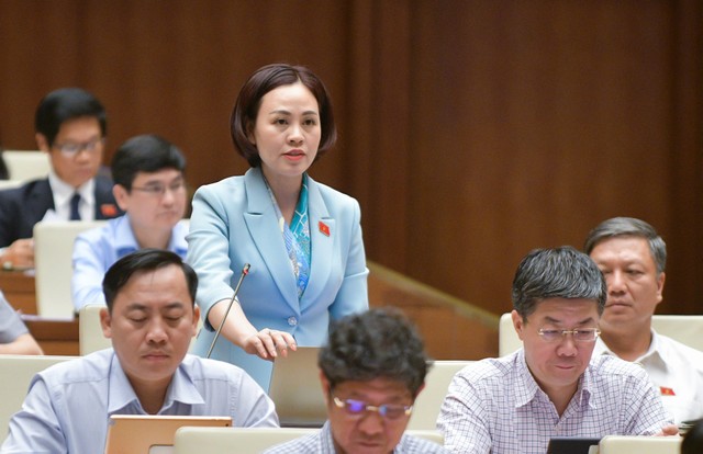 Đại biểu Trần Thị Hồng Thanh (đoàn Ninh Bình) Đại biểu Trần Thị Hồng Thanh (đoàn Ninh Bình)