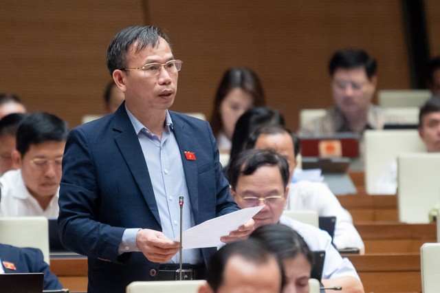 Đại biểu Đồng Ngọc Ba (đoàn Bình Định) Đại biểu Đồng Ngọc Ba (đoàn Bình Định)