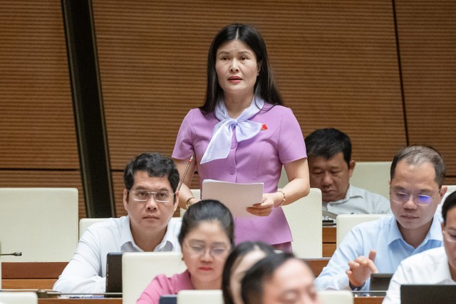 Đại biểu Bùi Thị Quỳnh Thơ (đoàn Hà Tĩnh) Đại biểu Bùi Thị Quỳnh Thơ (đoàn Hà Tĩnh)