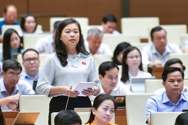 Đại biểu Đoàn Thị Lê An (đoàn Cao Bằng) Đại biểu Đoàn Thị Lê An (đoàn Cao Bằng)