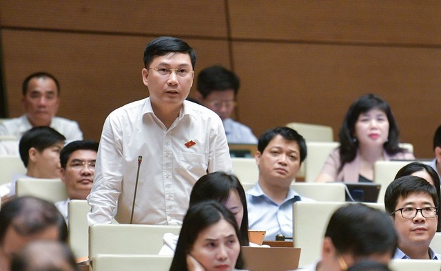 Đại biểu Lê Hoàng Anh (đoàn Gia Lai)