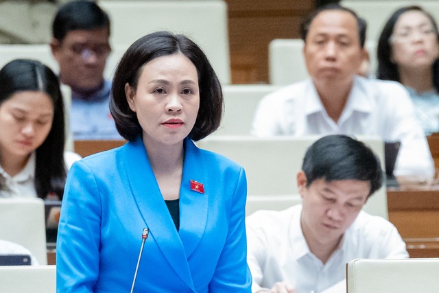 Đại biểu Trần Thị Hồng Thanh (đoàn Ninh Bình) Đại biểu Trần Thị Hồng Thanh (đoàn Ninh Bình)