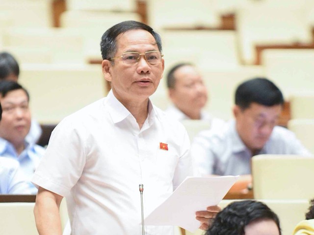 ĐBQH Trần Đình Gia (đoàn Hà Tĩnh)