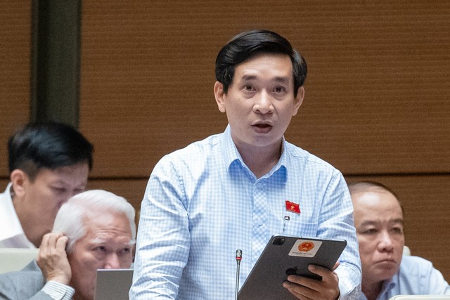 Đại biểu Nguyễn Văn Cảnh (đoàn Bình Định)