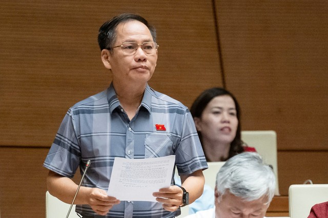 Đại biểu Trần Đình Gia (đoàn Hà Tĩnh) Đại biểu Trần Đình Gia (đoàn Hà Tĩnh)