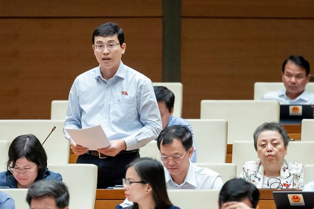 Đại biểu Đỗ Đức Hiển (đoàn TP.HCM) Đại biểu Đỗ Đức Hiển (đoàn TP.HCM)