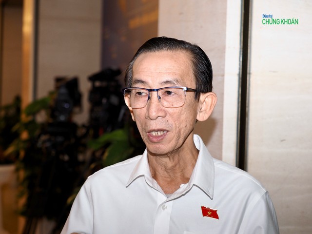 Đại biểu Trần Hoàng Ngân (đoàn TPHCM)