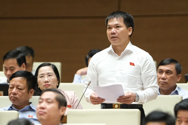 Đại biểu Dương Khắc Mai