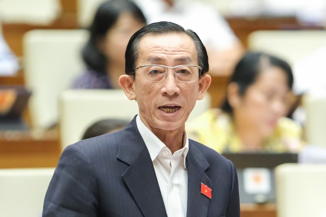 Đại biểu Trần Hoàng Ngân (đoàn TP.HCM) Đại biểu Trần Hoàng Ngân (đoàn TP.HCM)