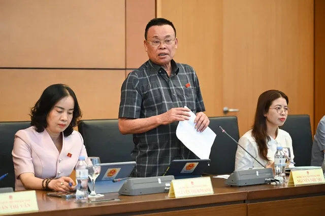 ĐBQH Nguyễn Như So phát biểu tại tổ chiều 6/5 ĐBQH Nguyễn Như So phát biểu tại tổ chiều 6/5
