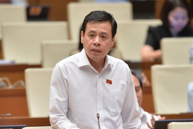 Đại biểu Trần Anh Tuấn (đoàn TP. Hồ Chí Minh)