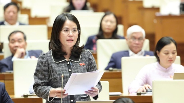 Đại biểu Nguyễn Hoàng Bảo Trân (đoàn TP Hồ Chí Minh) Đại biểu Nguyễn Hoàng Bảo Trân (đoàn TP Hồ Chí Minh)