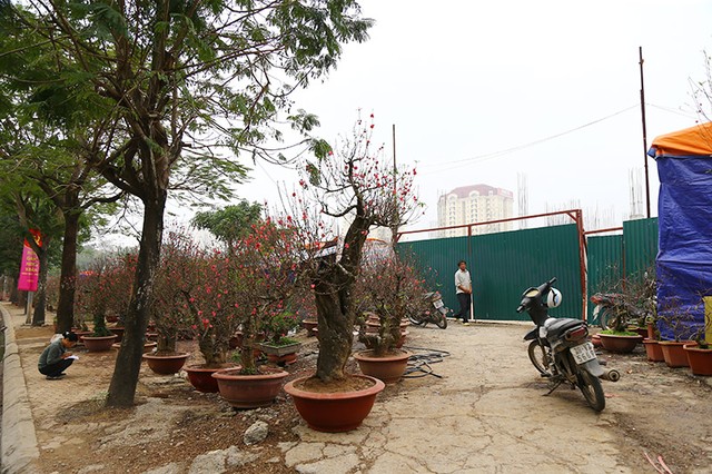 Cận cảnh dự án trung tâm thương mại Ciputra bỏ hoang suốt 7 năm  ảnh 11