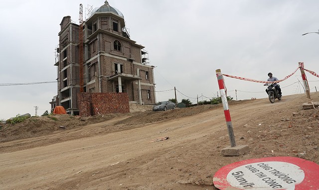 Dê ung dung gặm cỏ gần biệt thự không phép trong Khu đô thị Phú Lương ảnh 8