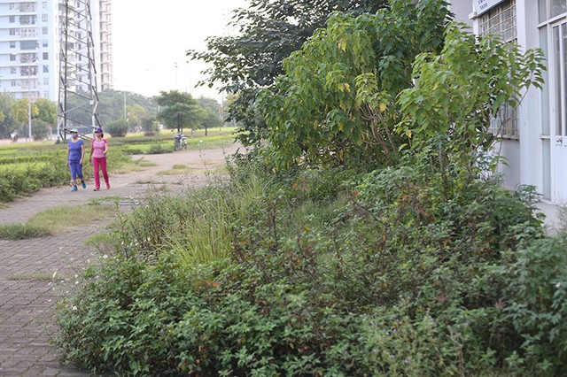 Hà Nội: Hanco3 muốn đập bỏ 3 tòa nhà tái định cư vì không có người ở ảnh 9