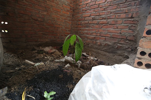 Biệt thự tiền tỷ ở Hà Nội hóa thành điểm tập kết của dân nghiện  ảnh 9