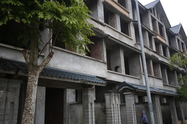 Dê, trâu tung tăng gặm cỏ, nghỉ ngơi trong biệt thự ảnh 6