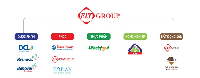 FIT Group sở hữu những công ty có tiềm năng tăng trưởng cao trong các ngành hàng phát triển FIT Group sở hữu những công ty có tiềm năng tăng trưởng cao trong các ngành hàng phát triển