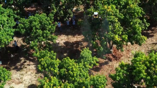 nội dung cáp ảnh nội dung cáp ảnh