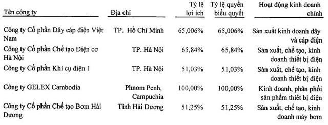 Tương lai của GEX ra sao sau khi Bộ Công thương thoái toàn bộ vốn? ảnh 2