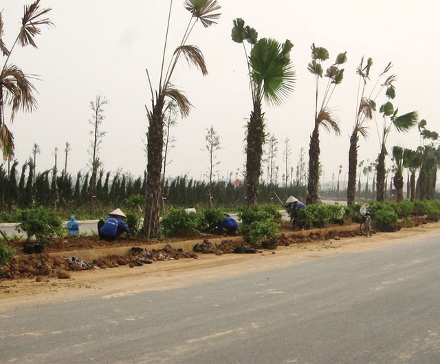 Cận cảnh Dự án Nam An Khánh vừa được Sudico bán 2.600 tỷ đồng ảnh 3