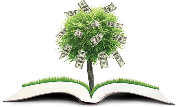 Cách sử dụng nguồn tài chính thông minh ảnh 2 Cách sử dụng nguồn tài chính thông minh ảnh 2