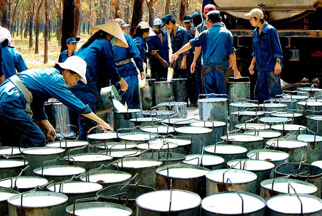 Cổ phần hóa doanh nghiệp nhà nước: Băng qua lối mòn - kỳ 2: “Xắn tay” làm mới những con đường ảnh 1 Cổ phần hóa doanh nghiệp nhà nước: Băng qua lối mòn - kỳ 2: “Xắn tay” làm mới những con đường ảnh 1