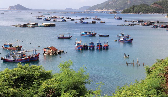 Mê mải Phú Yên ảnh 3 Mê mải Phú Yên ảnh 3