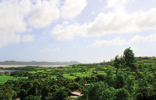 Mê mải Phú Yên ảnh 4 Mê mải Phú Yên ảnh 4