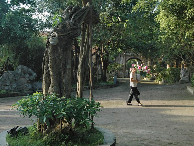 Ba gian nhà quê... ảnh 1 Ba gian nhà quê... ảnh 1