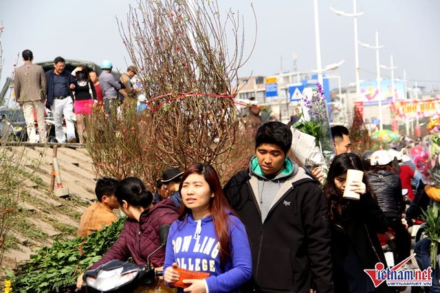 Người Hà Nội chen chân đi phiên chợ cuối cùng của năm ảnh 5