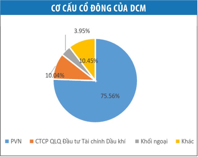 DCM: Triển vọng phục hồi từ 2017 ảnh 2