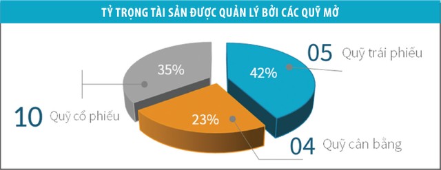 Tăng trưởng trên 20%, nhiều quỹ tăng cơ hội gọi vốn ảnh 2
