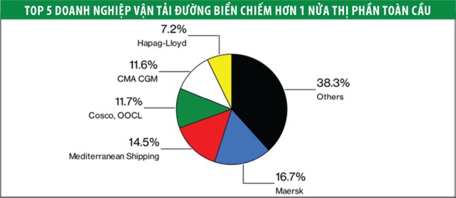 Dịch vụ vận tải: Cuộc chơi của những gã khổng lồ ảnh 1