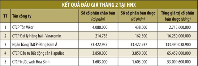 Tháng 3: Ít nhất 4 DN sẽ đấu giá qua HNX ảnh 1 Tháng 3: Ít nhất 4 DN sẽ đấu giá qua HNX ảnh 1
