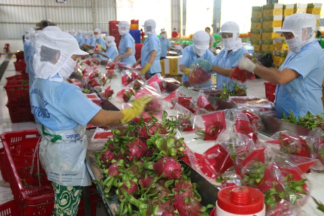 Bộ trưởng Nông nghiệp: Không cải thiện khâu chế biến thì sẽ còn tình trạng “giải cứu” nông sản ảnh 1 Bộ trưởng Nông nghiệp: Không cải thiện khâu chế biến thì sẽ còn tình trạng “giải cứu” nông sản ảnh 1